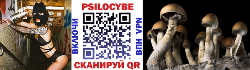 Галлюциногенные грибы прущие грибы как найти наркотики Инсар